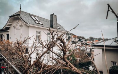 Sturmschaden: Was tun wenn die Versicherung nicht zahlt?